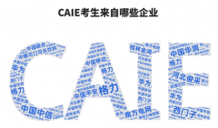 威AI证书已从“加分项”变成职场“必备项”